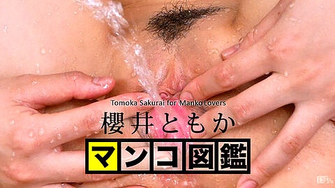 Tomoka Sakurai Squirting