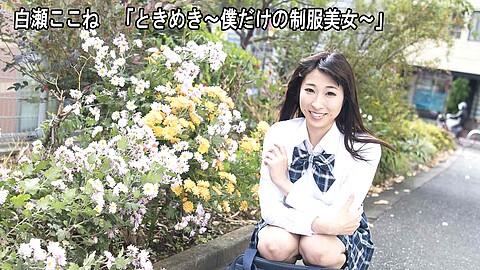 Kokone Shirose School Girl